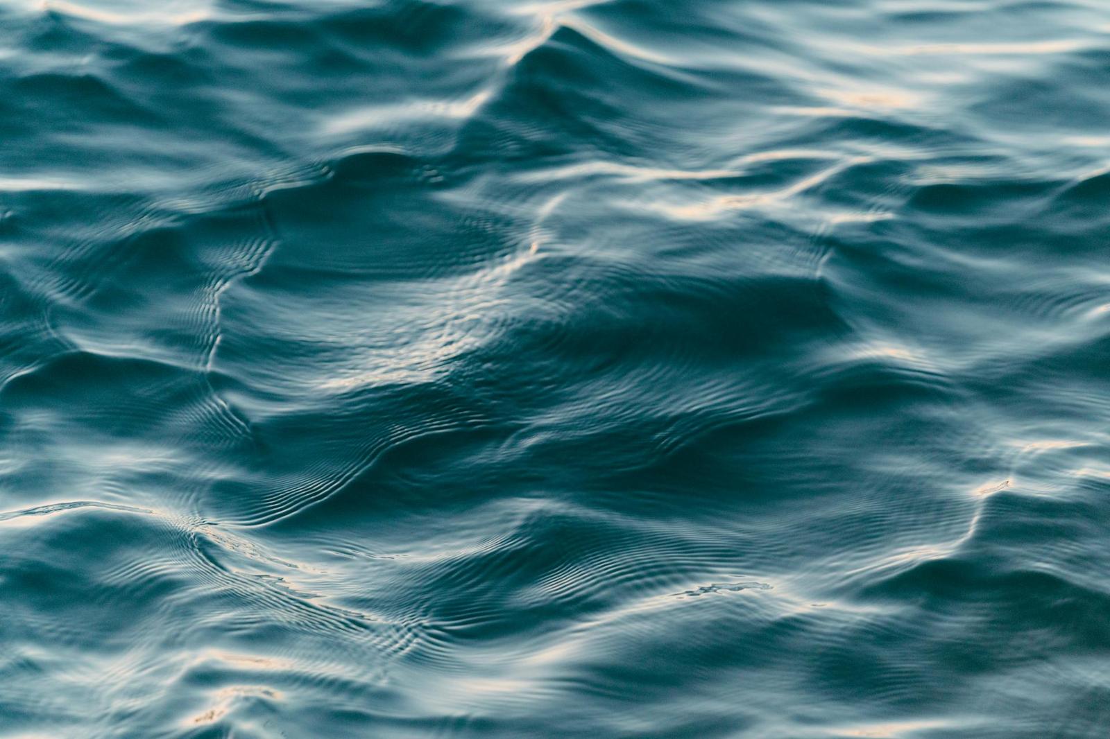 Springvive chiller inquiry background