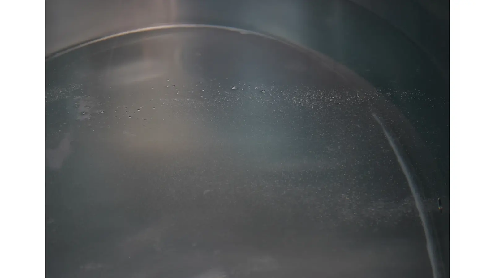 Cold Plunge Chiller and Filter: Keeping Your Water Pure